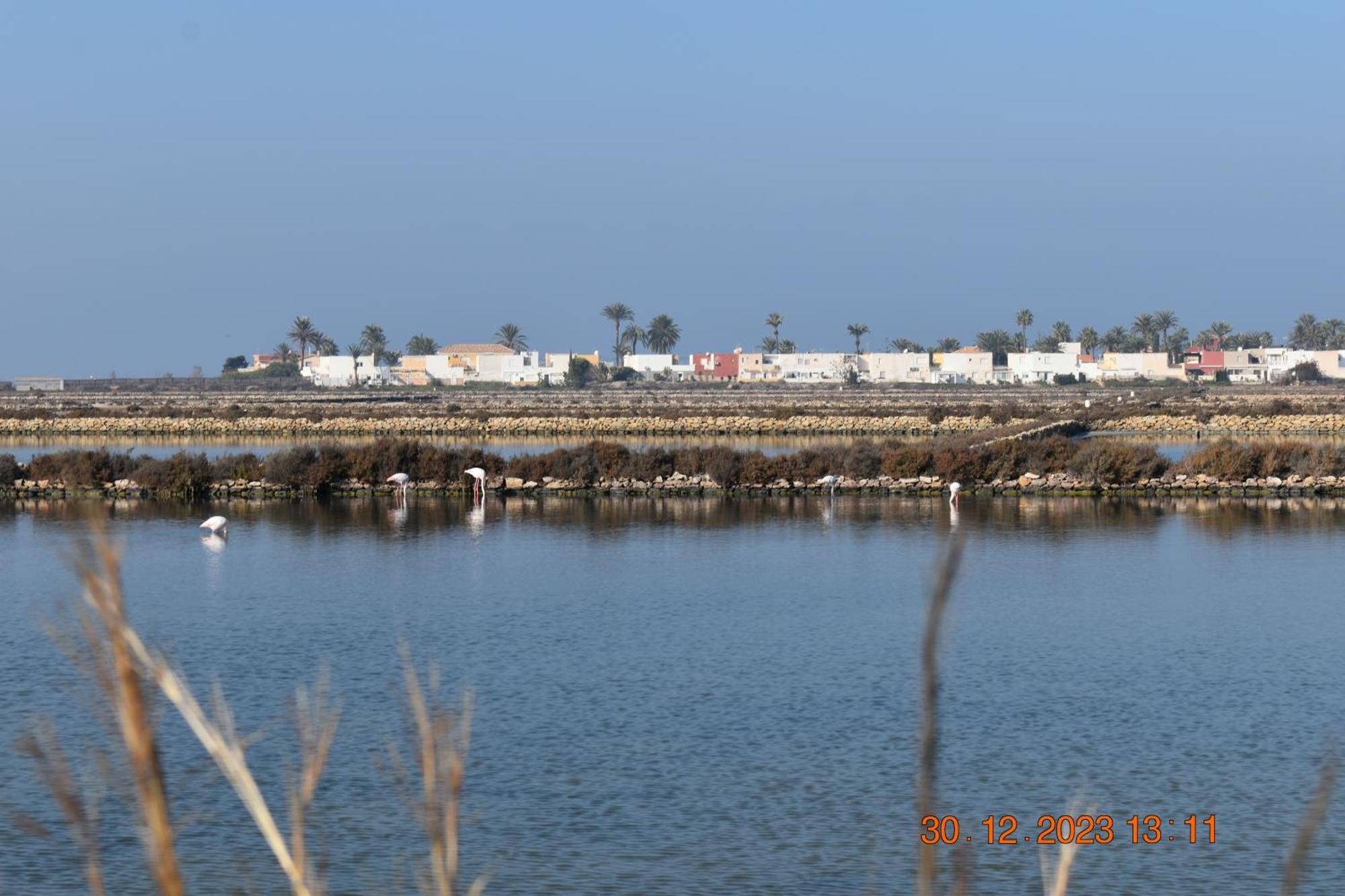 Apart Turisticos Marine Rest La Manga Mar Menor Piscinas Privadas Playa Paraiso  Bagian luar foto