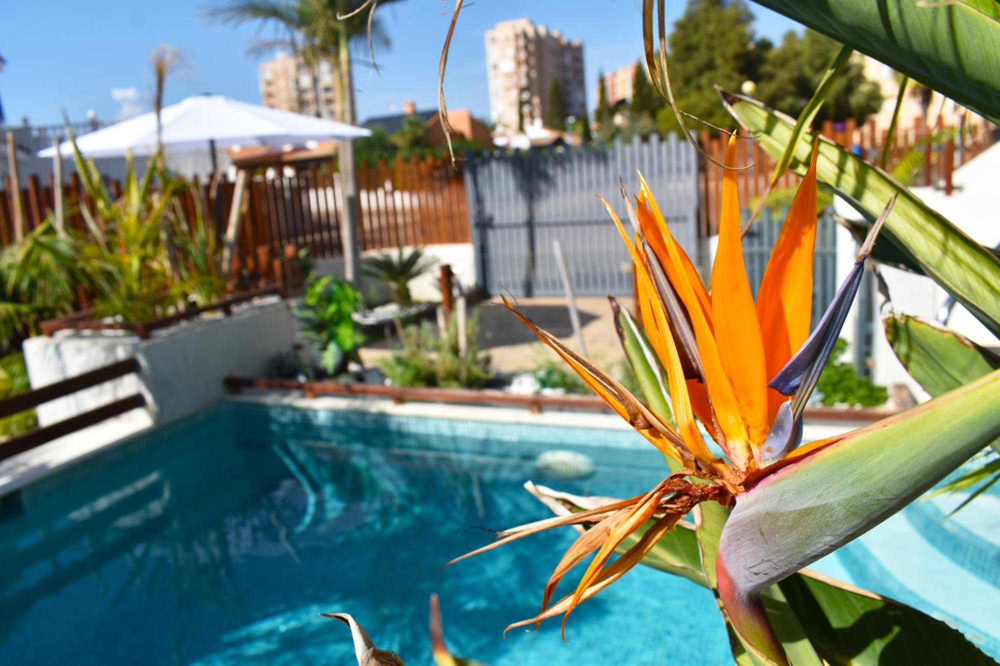Apart Turisticos Marine Rest La Manga Mar Menor Piscinas Privadas Playa Paraiso  Bagian luar foto